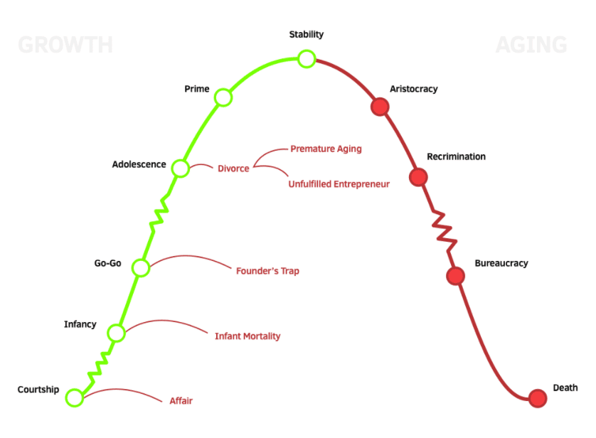 6-levers-of-growth-for-successful-development-of-your-company-blog